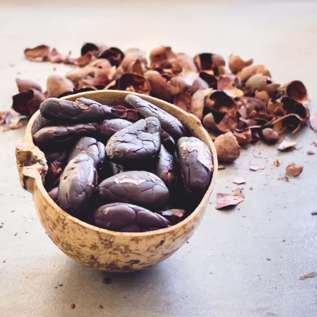 Connect With Indigenous Wisdom and Sustainability