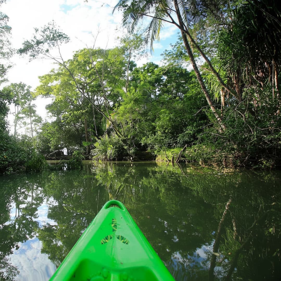 Conquer the Jungle Trails