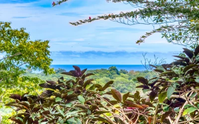7 Reasons to Visit Hone Creek Limón Costa Rica