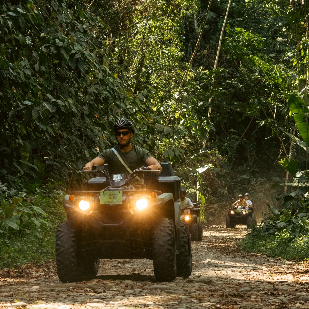 ATVs on a jungle trail