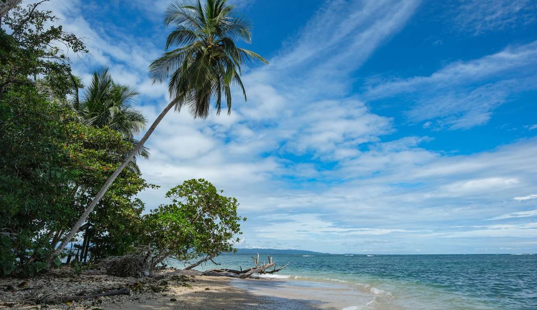 Discover the Profound Beauty of Cahuita